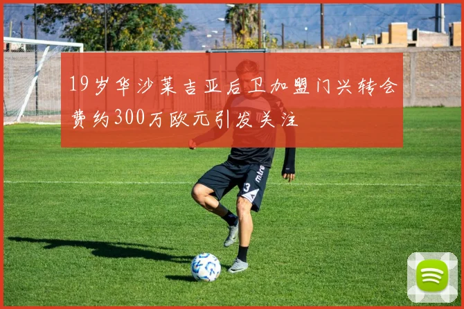 19岁华沙莱吉亚后卫加盟门兴转会费约300万欧元引发关注