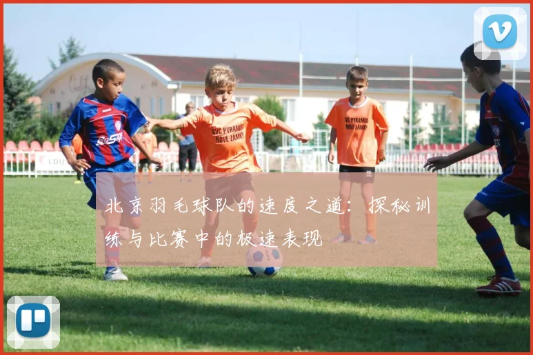 北京羽毛球队的速度之道：探秘训练与比赛中的极速表现