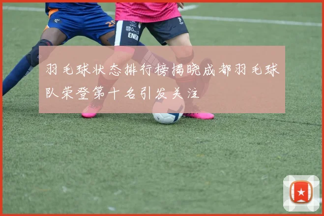 羽毛球状态排行榜揭晓成都羽毛球队荣登第十名引发关注